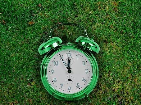 Rubrik_Naturschutz_Biodiversitaet-pixabay-the-eleventh-hour-2561609__340